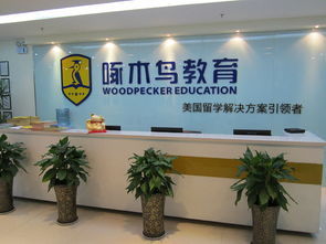自费出国留学中介服务经营资质与行业指南 探讨“教育咨询”与必需许可的关联性及市场领头羊简析